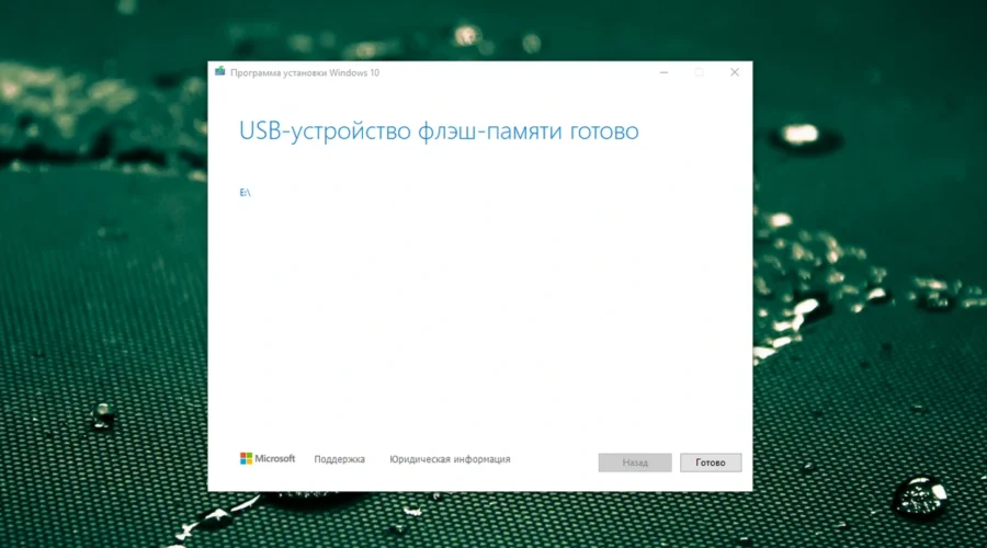 download-windows-10-11