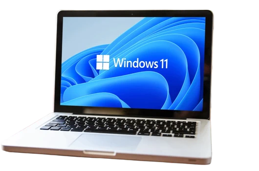 Windows 11